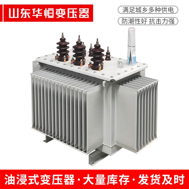 S13-10000/35津市津市津市油浸式变压器厂家